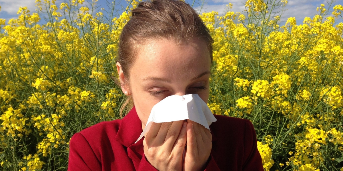 Frau niest wegen Pollenallergie